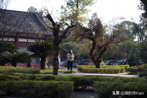 隐藏在市中心的道教圣地——成都青羊宫