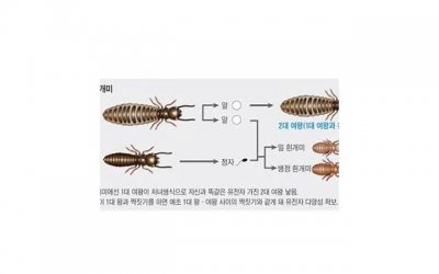 ​劝男朋友戒烟的套路 高情商女帮男朋友戒烟