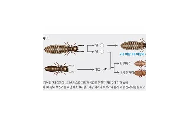 劝男朋友戒烟的套路 高情商女帮男朋友戒烟