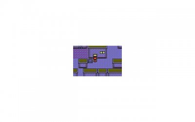 ​婚姻挽救是什么意思呀