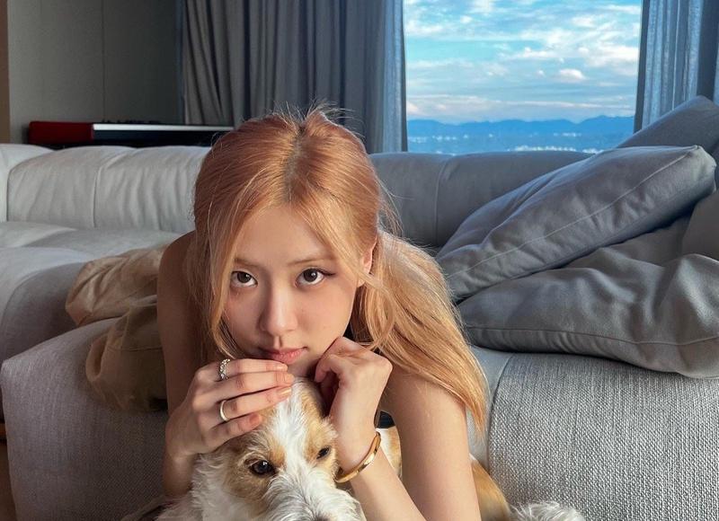 婚姻需要经营是怎么经营，如何经营婚姻关系？