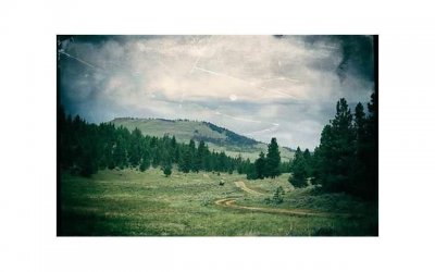 ​无性婚姻能坚持多久（无性婚姻怎么解决性问题）