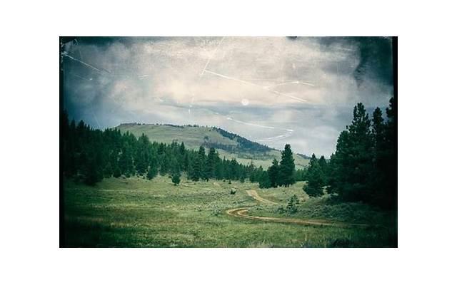 无性婚姻能坚持多久(无性婚姻怎么解决性问题) 无性婚姻能坚持多久(无性婚姻怎么解决性问题)