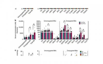 ​因家庭暴力离婚受害方能否请求损害赔偿