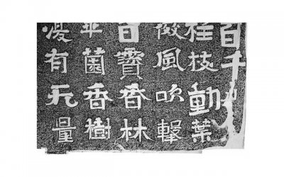 ​两个孩子起诉离婚孩子怎么分（两个小孩离婚抚养权怎么办）