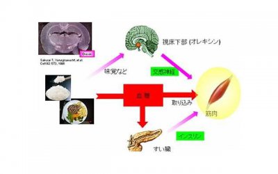 ​家暴、冷漠、分居的婚姻该何去何从