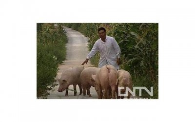 ​自尊心对于男生意味着什么