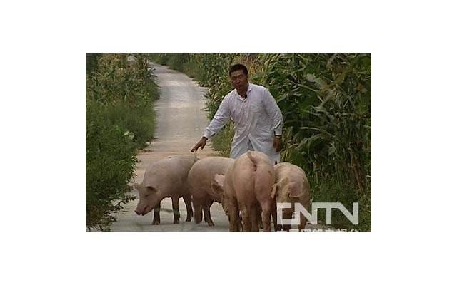 自尊心对于男生意味着什么