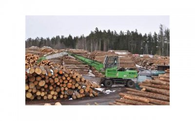 ​离婚了和儿子做（一个不可思议的经历）