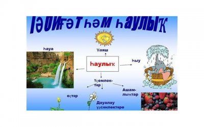 ​高考前，一定要看一看这份“致胜锦囊”…