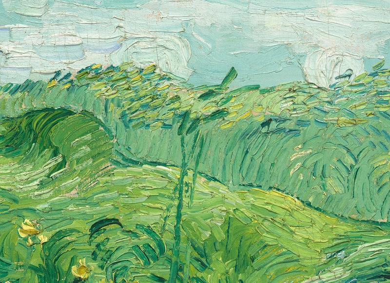 47朵玫瑰代表什么意思（十九朵玫瑰代表什么）