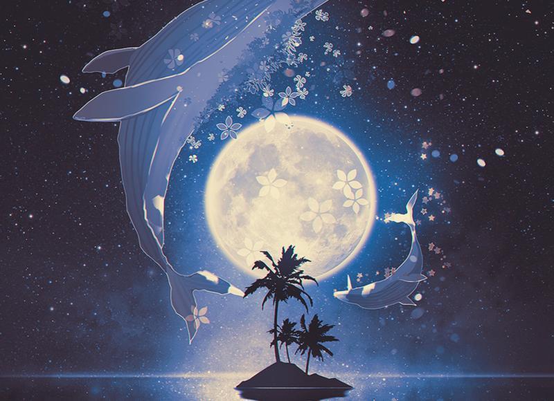 什么样的人会爱小鲜肉 鲜肉并非人人爱