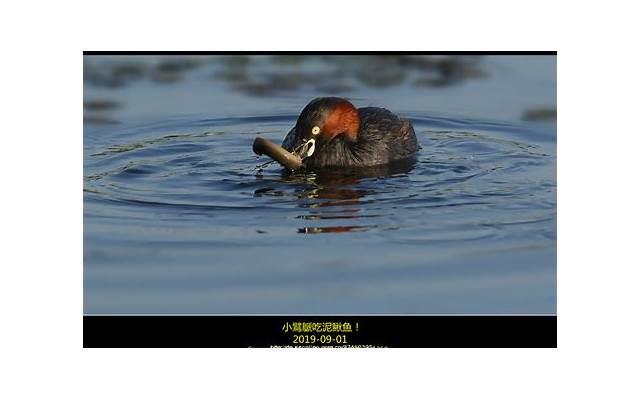 乳房疼痛是什么原因 乳房疼痛常见原因分析