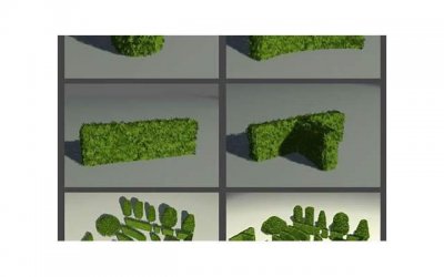 ​做梦梦见妻子是什么意思