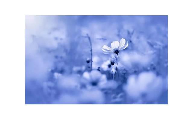 大家觉得暖男的标准是什么(暖男对女生做什么才叫暖男)