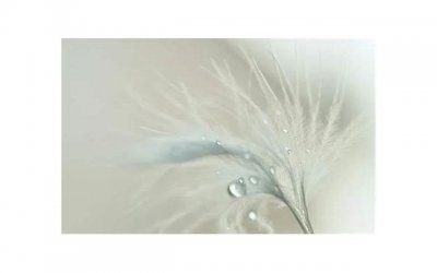 ​女生主动加前任丢脸吗他结婚了