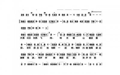 ​幽默撩人套路段子大全(幽默撩人套路段子大全女生)