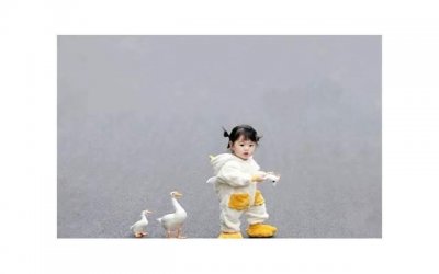 ​陌陌怎么发动态吸引男粉(陌陌软件上怎么发动态吸引女生)