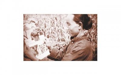 ​适合给女生开车的段子，又污又好笑