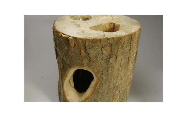 亲人去世天天哭好吗