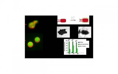 ​结婚玩新郎的游戏视频（结婚搞怪新郎伴郎的游戏）