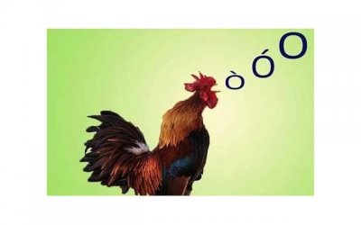 ​结婚后过得不开心怎么办