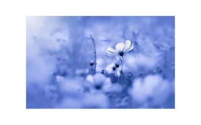 ​结婚前有什么心理 女性婚前焦虑心理