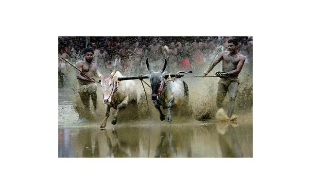 和家人合影抖音文案（和家人合影抖音文案怎么写）