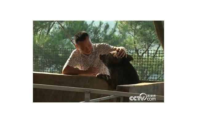 不够爱一个人怎么办？不够爱一人的表现