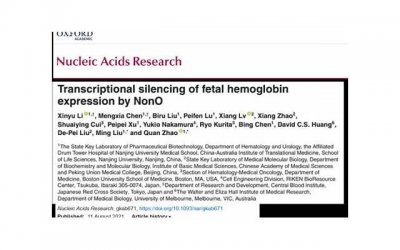 ​房子是小产权，到期后怎么处理？