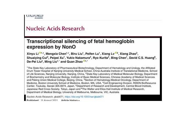 房子是小产权，到期后怎么处理？