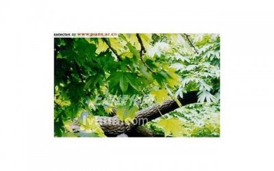 ​测试情商的方法及其重要性（测试情商的测试题免费）