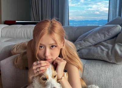 ​非婚同居财产应该怎么样分割