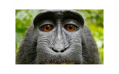 ​用幽默的方式一笑而过 女孩回复啊哈哈哈哈怎么回答