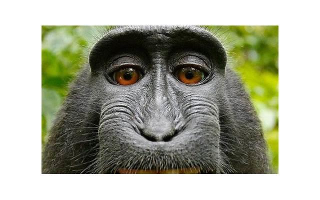 用幽默的方式一笑而过 女孩回复啊哈哈哈哈怎么回答 用幽默的方式一笑而过 女孩回复啊哈哈哈哈怎么回答