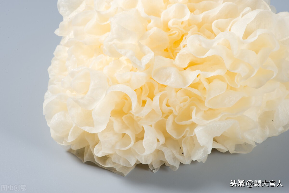 白木耳和银耳的区别图片（买银耳的正确选购指南）