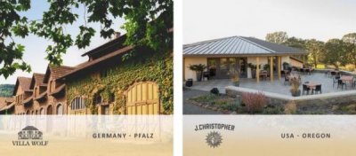 ​露森酒庄怎么样(露森白葡萄酒品牌手册)