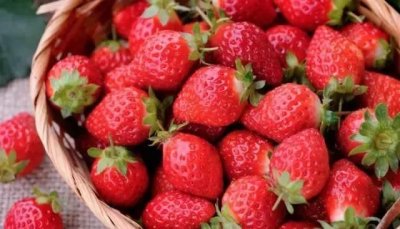 ​冬季是吃草莓的季节吗，为什么在冬天吃草莓，就会感觉特别香甜? 这是为什么？