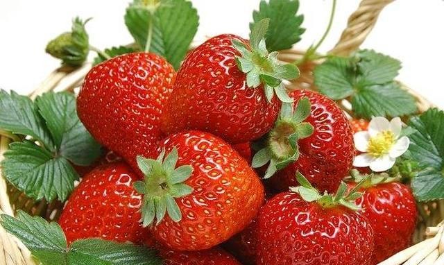 冬季是吃草莓的季节吗，为什么在冬天吃草莓，就会感觉特别香甜? 这是为什么？图4