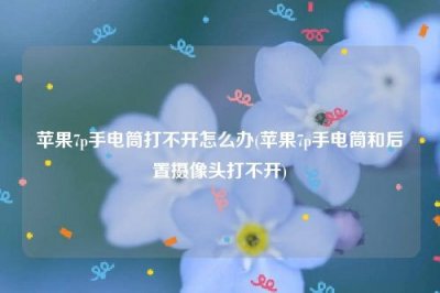 ​苹果7p手电筒打不开怎么办(苹果7p手电筒和后置摄像头打不开)