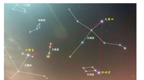 牛郎星属于什么座