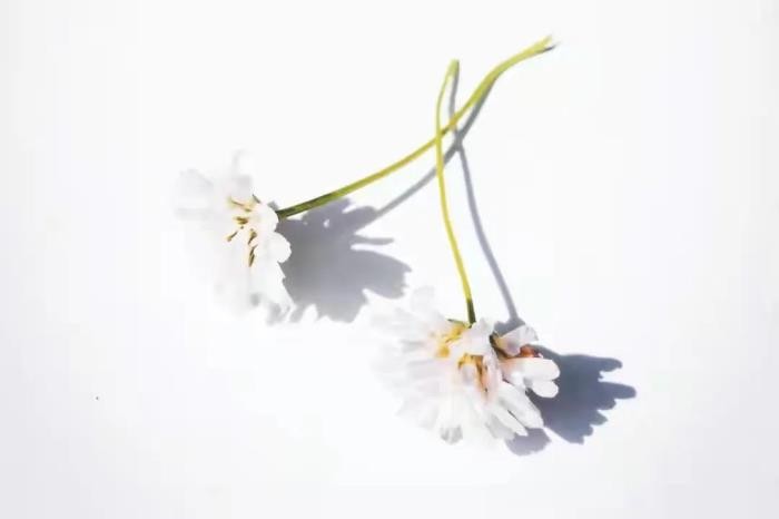 怎么挽回一个不爱你对你失望的男人(当男人不爱你)