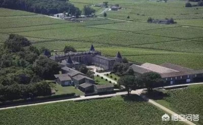 ​1961的红酒_1961年白马红酒