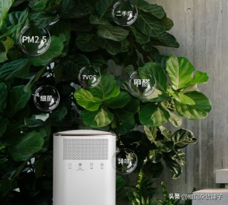 ​净化器有什么作用和好处（家用空气净化器的选购技巧）