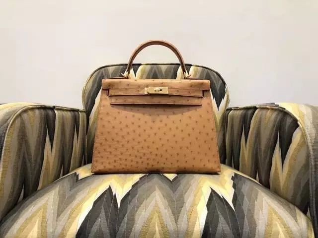 鸵鸟皮属于什么档次（一文了解鸵鸟皮的材质档次）