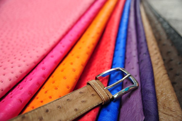 鸵鸟皮属于什么档次（一文了解鸵鸟皮的材质档次）