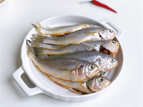 鱼汤怎么做最有营养（浓白鲜美无腥味鱼汤做法）