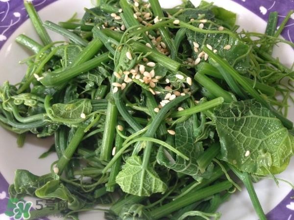 龙须菜怎么清洗？龙须菜怎么处理？