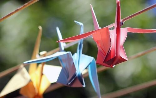 千纸鹤的象征意思是什么