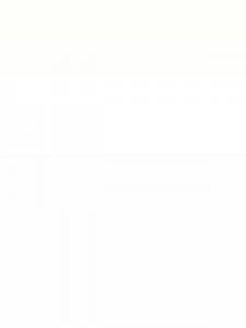 ​窥视的近义词(窥伺的近义词是什么)